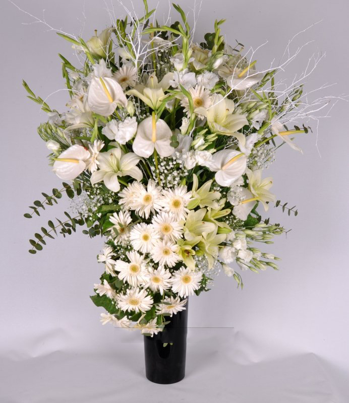 Sultanım Lilyum Gerbera, Gül, Şebboy C-AR147 - Görsel 2