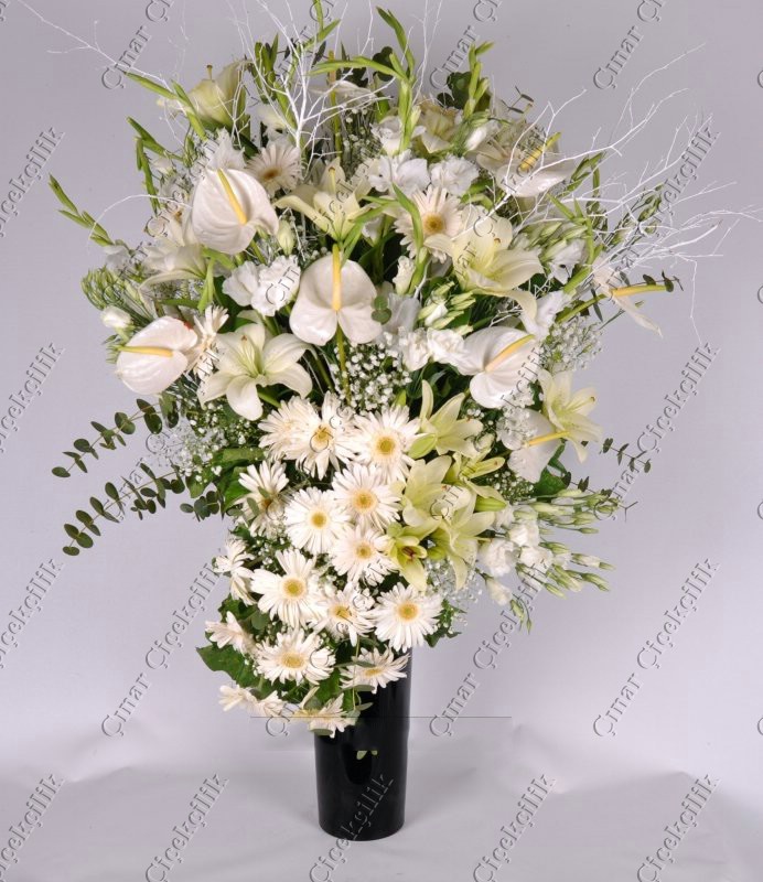 Sultanım Lilyum Gerbera, Gül, Şebboy C-AR147