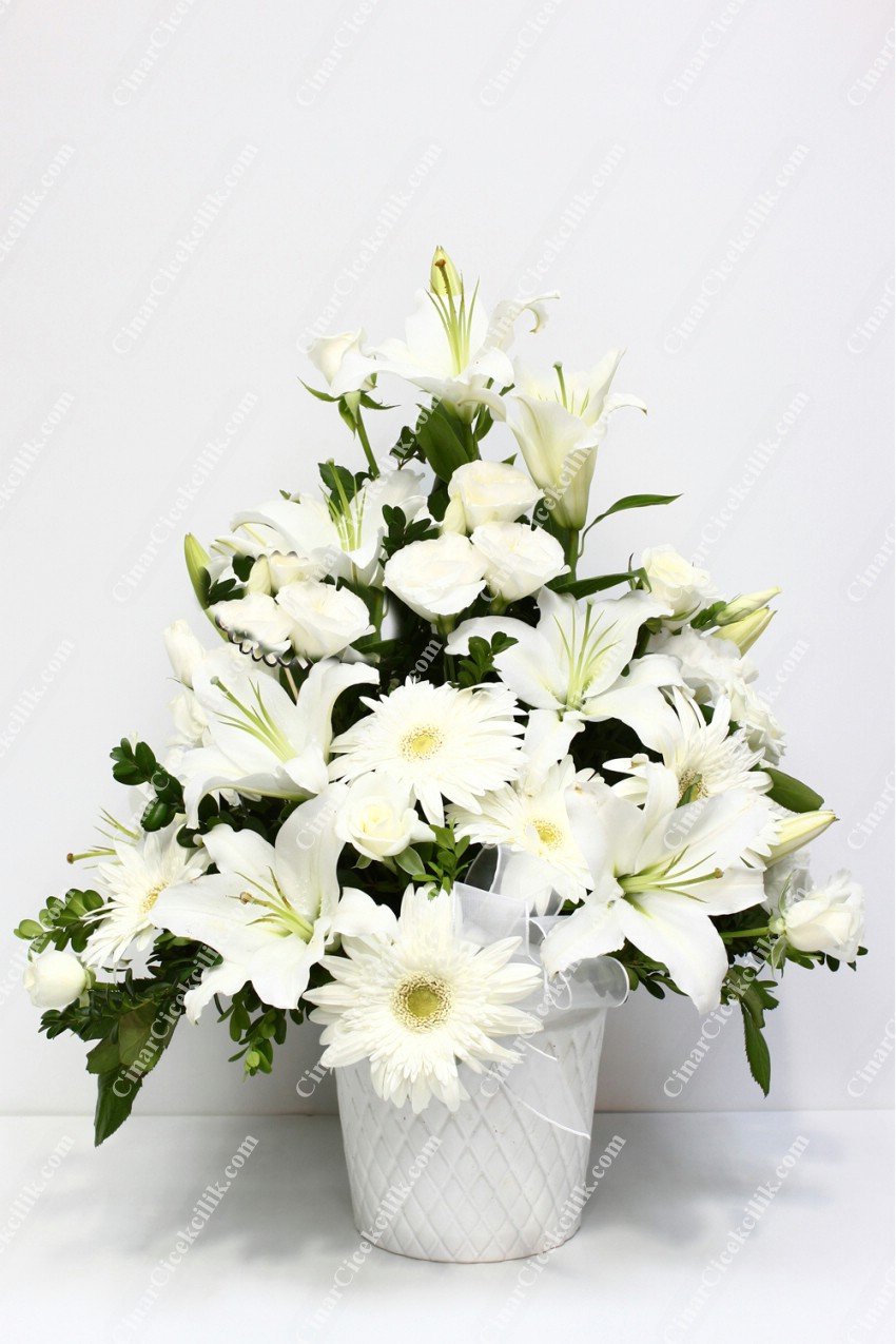 Beyaz Melek Lilyum Gül C-AR113