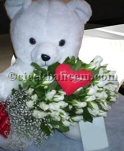 Gül Büyük Pelüş Ayı C-OY128