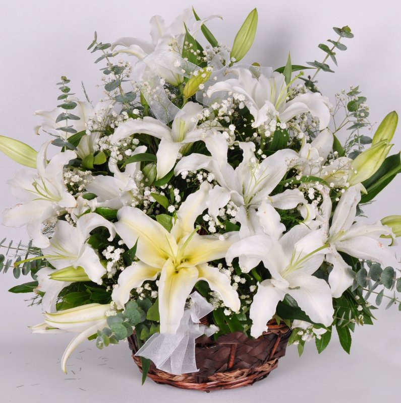 Sade Beyaz Çiçek Sepeti Lilyum C-AR129 - Görsel 2