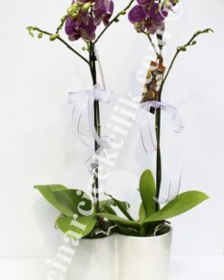 Seramik Vazo İkili Kırçıllı Orkide C-OR127