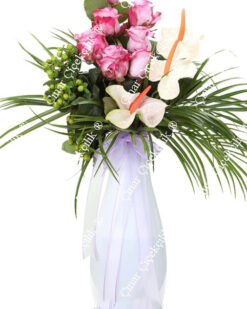 Mutluluk Işıltısı Antorium Beyaz Gül C-SER15