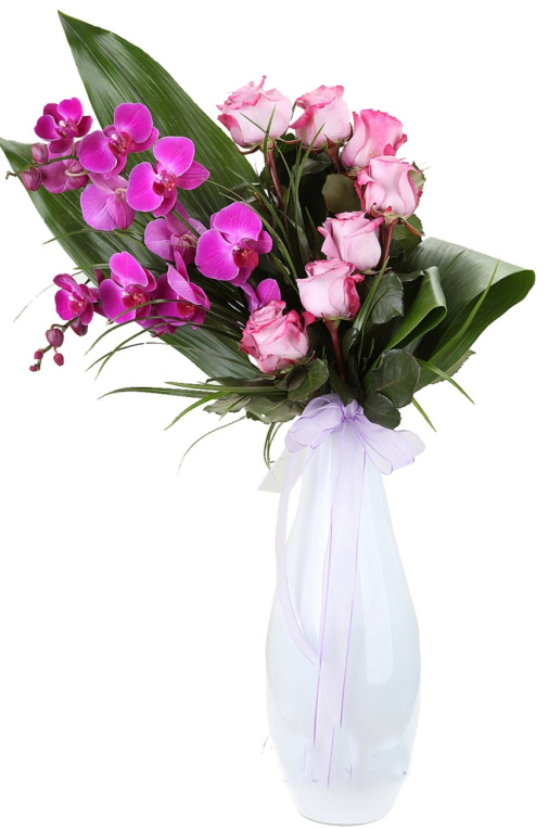 Mutluluk Prensi C-SER116 - Görsel 2