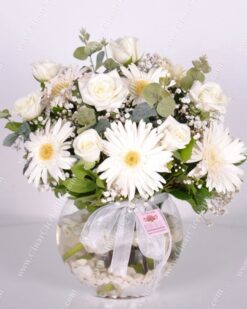 Mutluluk Seli Beyaz Gül Gerbera C-AR140