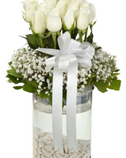 Büyüleyici Beyaz Güller C-CAM116