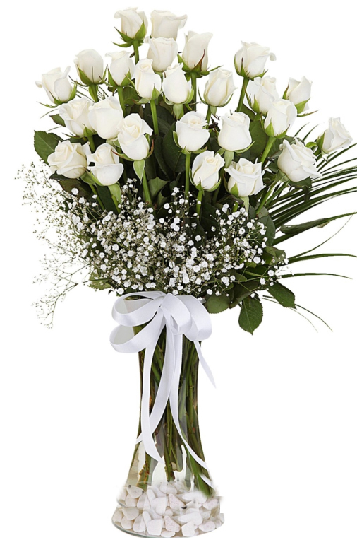 Beyaz Düşler 25 Beyaz Gül C-CAM119 - Görsel 2