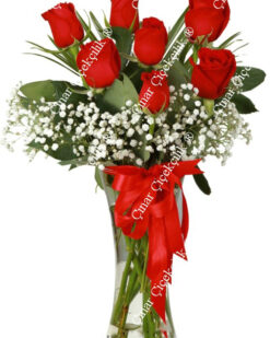 Düşümde Aşk 7 Kırmızı Gül C-CAM122