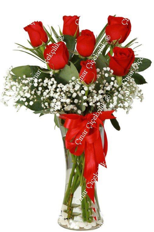 Düşümde Aşk 7 Kırmızı Gül C-CAM122