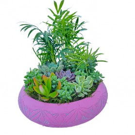 Cennet Bahçesi Sukulent Aranjmanı - Görsel 6