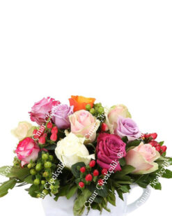 Bir Fincan Mutluluk 11 Renkli Gül C-SER112