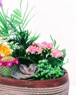 Birds Desenli Vazoda Orkide Teraryum Tasarımı