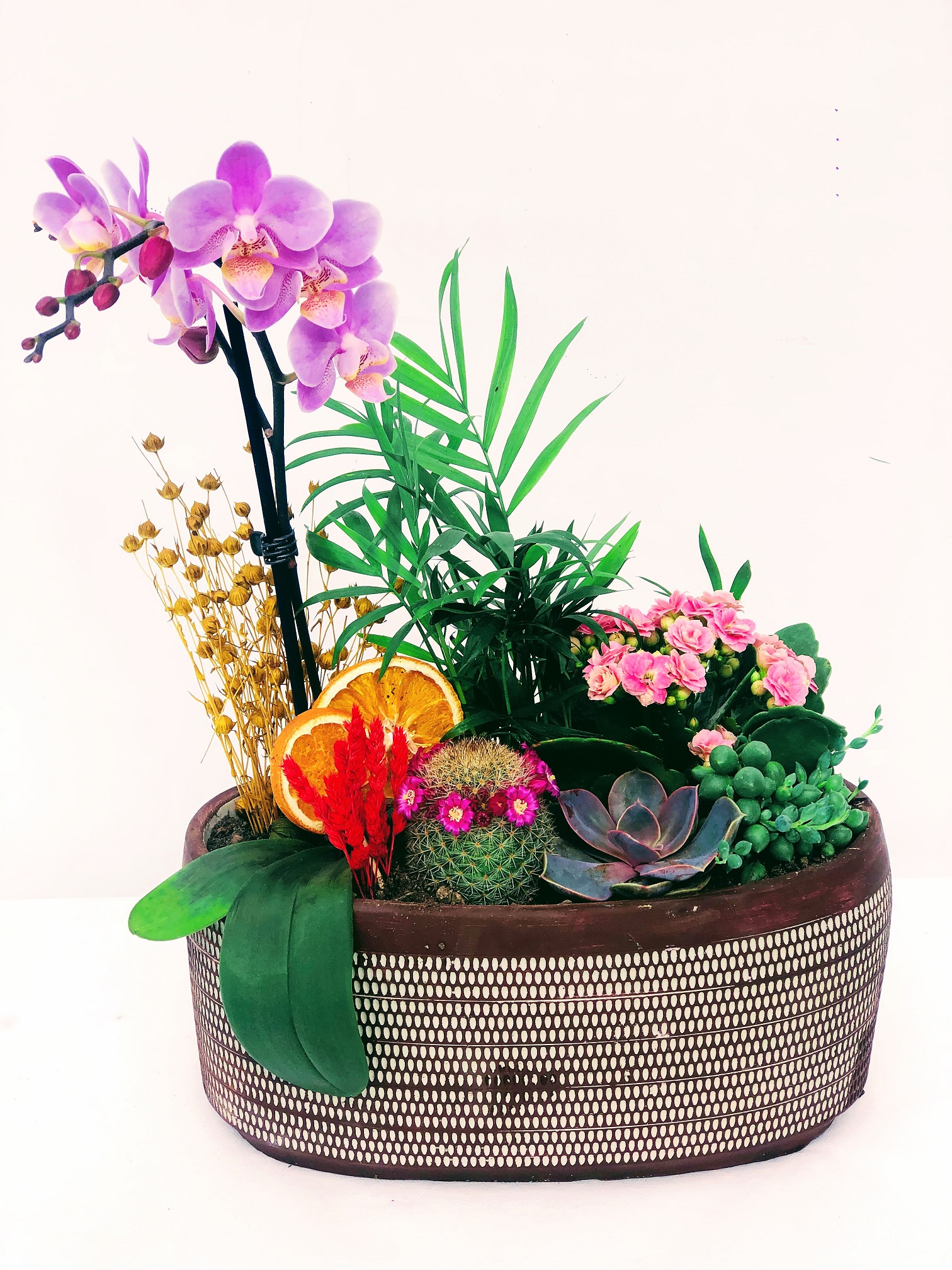 Birds Desenli Vazoda Orkide Teraryum Tasarımı - Görsel 2