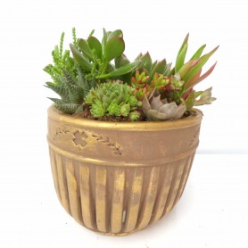 Mermait Desenli Vazoda Teraryum - Görsel 2