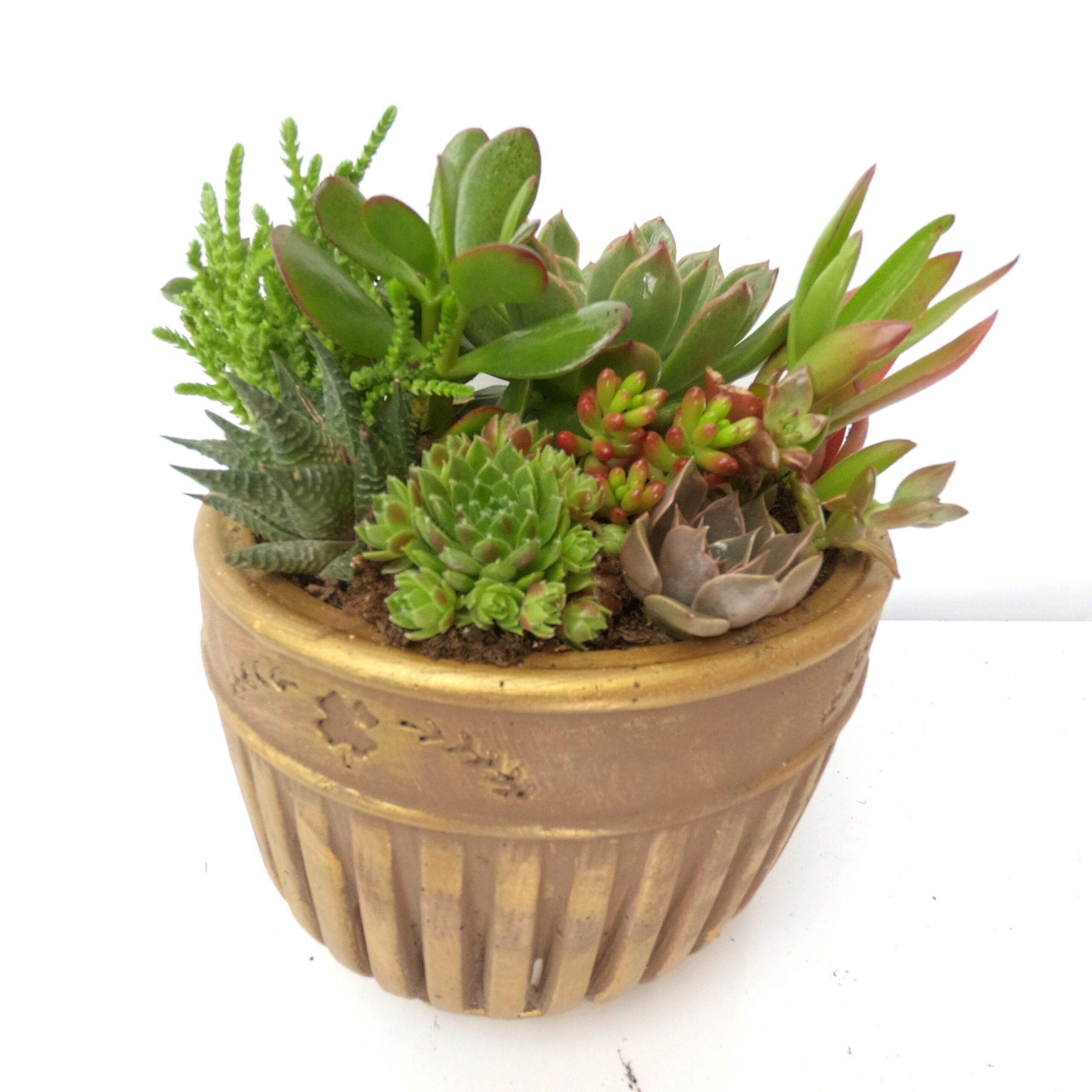 Mermait Desenli Vazoda Teraryum - Görsel 4