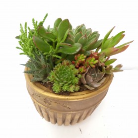 Mermait Desenli Vazoda Teraryum - Görsel 3