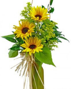 Güne Bakan Çiçeği