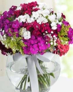 Seni Seviyorum Hüsnü Yusuf