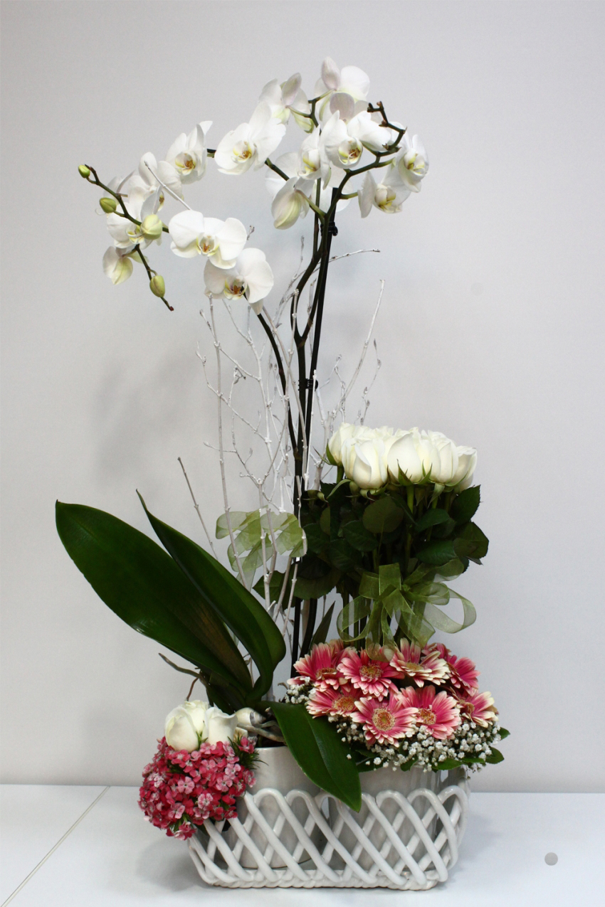 İki Kök Beyaz Orkide Çiçeği Beyaz Gül C-OR138 - Görsel 2