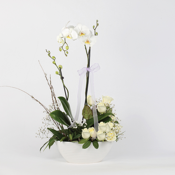 Sevgi Yağmuru Orkide ve Gül C-AR107 - Görsel 2