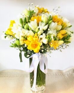 Beyaz Kokulu Firezya