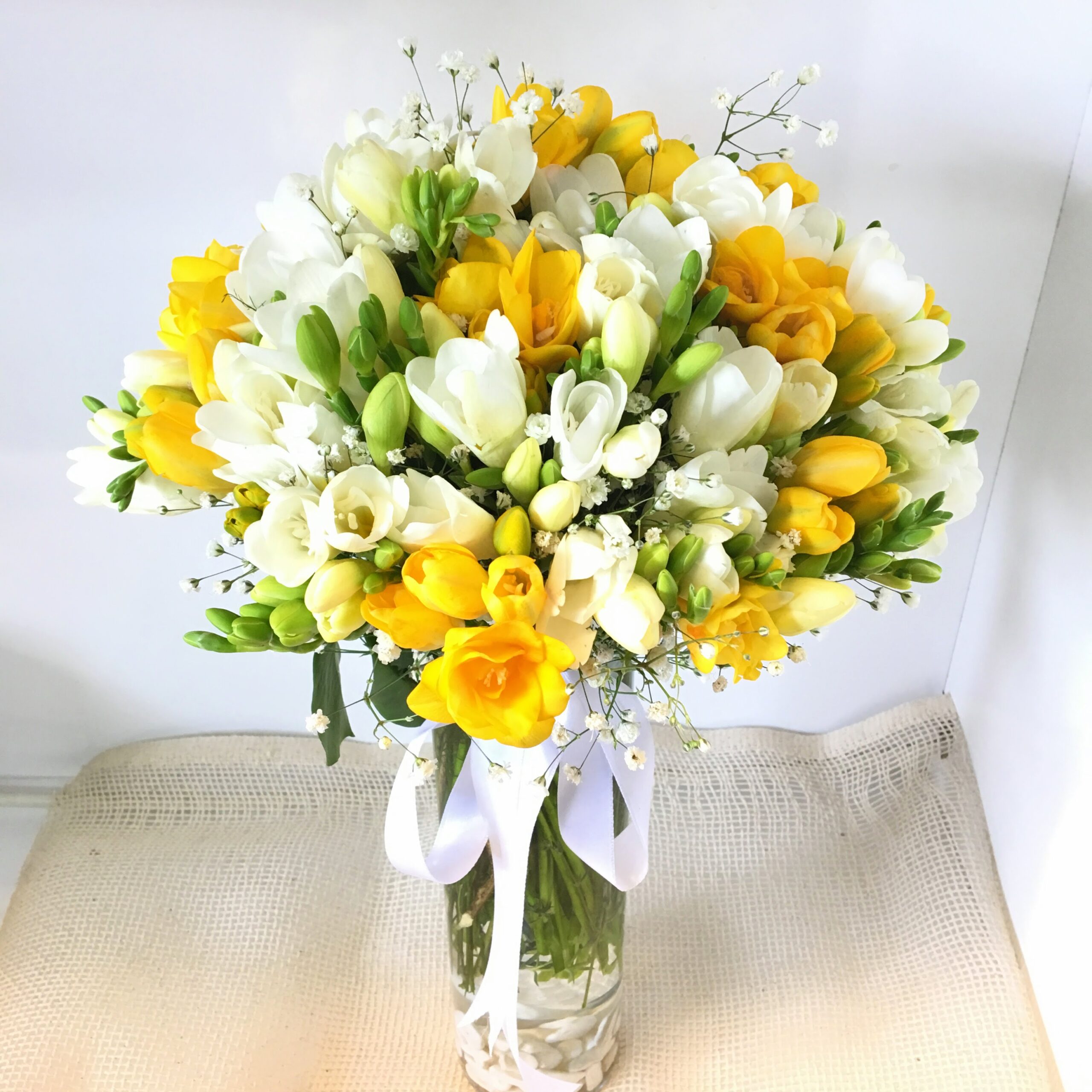 Beyaz Kokulu Firezya - Görsel 2