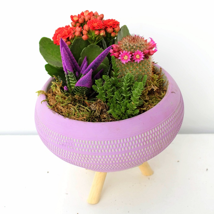 FRENCH Dekoratif Ayaklı Vazo Kaktüs ve Kalancuha - Görsel 3