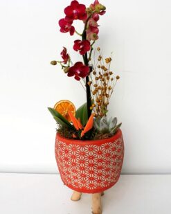 Valla Dekoratif Desenli Vazoda Mor  Orkide ve Kaktüs