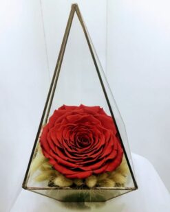 Solmayan  Sarı Lale Yapay