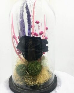 Solmayan Gül sıyah gül