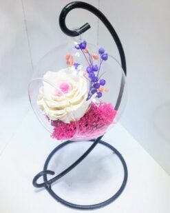 Demir Askıda Solmayan Gül