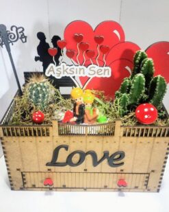 Aşkım Sen Özel Seri Teraryum