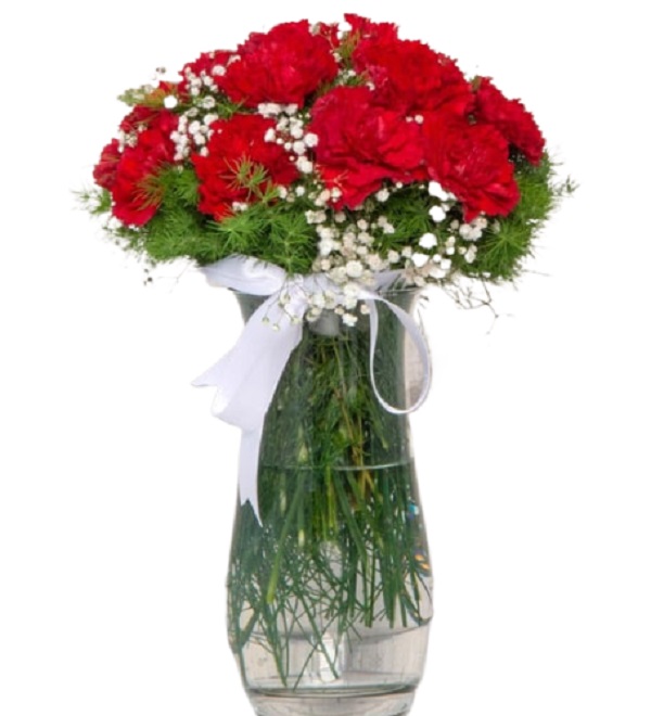 Karanfil - Görsel 4