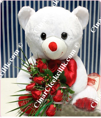 'Aynı Gün Hızlı Teslimat'' Gönlümün Efendisi