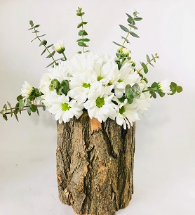 Kutu İçinde Beyaz Papatya