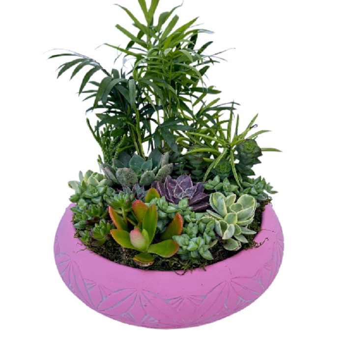 Cennet Bahçesi Sukulent Aranjmanı - Görsel 9