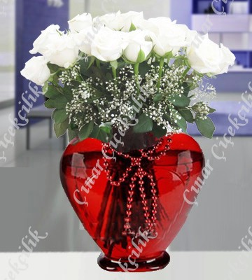 Beyaz Meleğim 21 Beyaz Gül C-KLP125