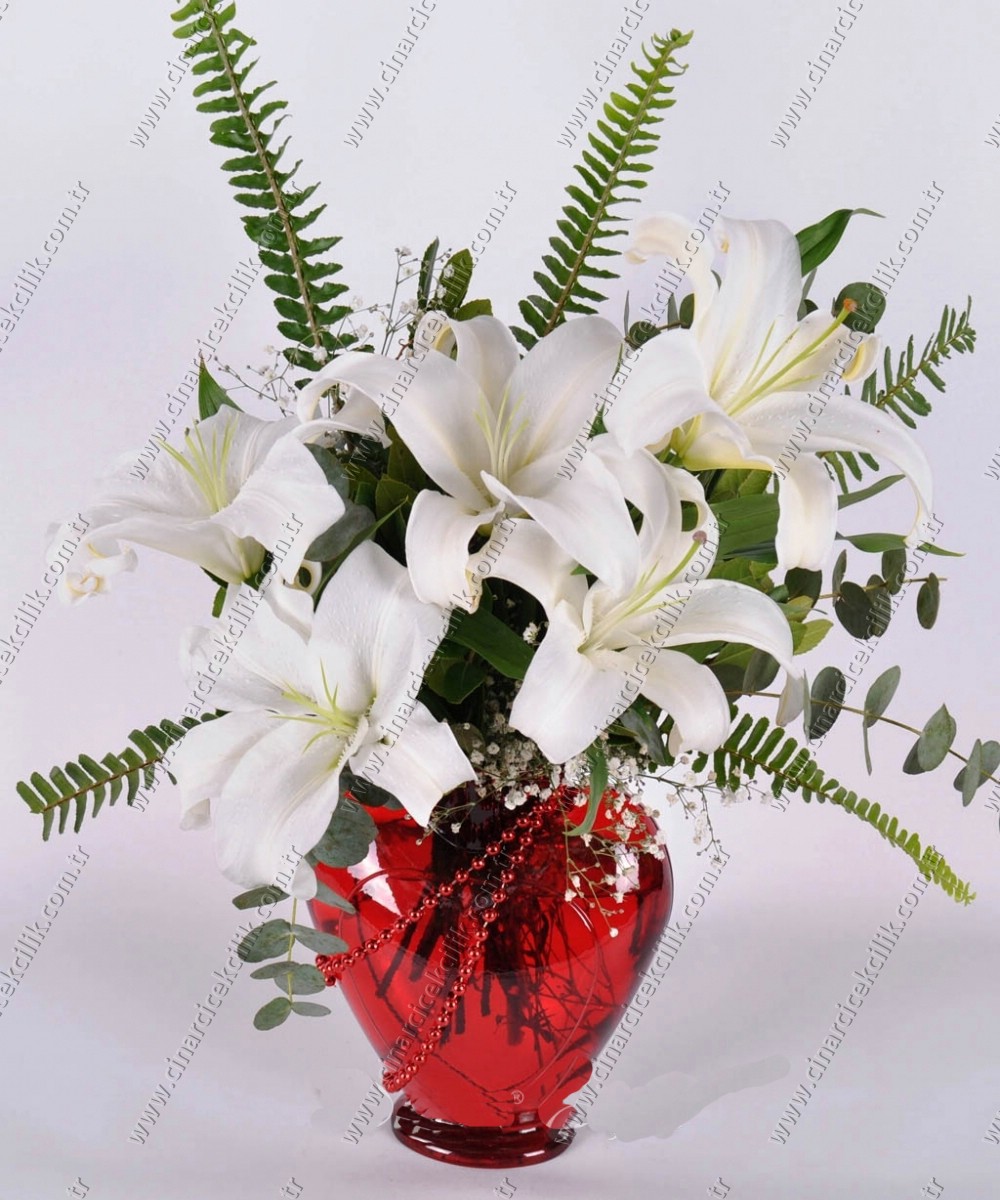 Kalpbimdeki Düş kokulu Lilyum C-KLP110