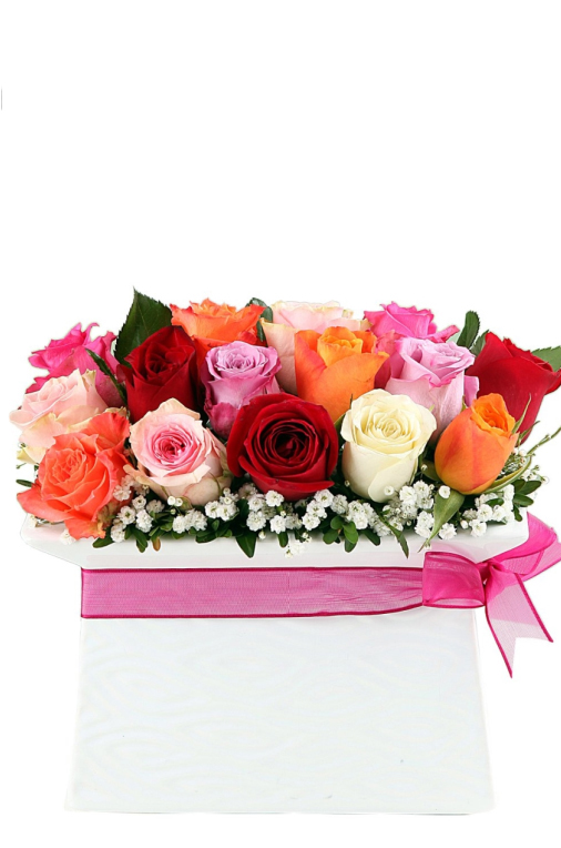 Güllerin Aşkı 15 Renkli Gül C-SER113 - Görsel 2