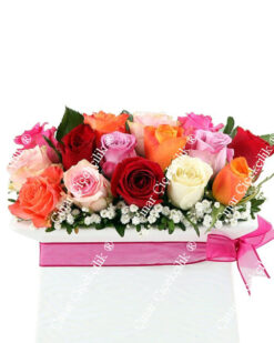 Güllerin Aşkı 15 Renkli Gül C-SER113