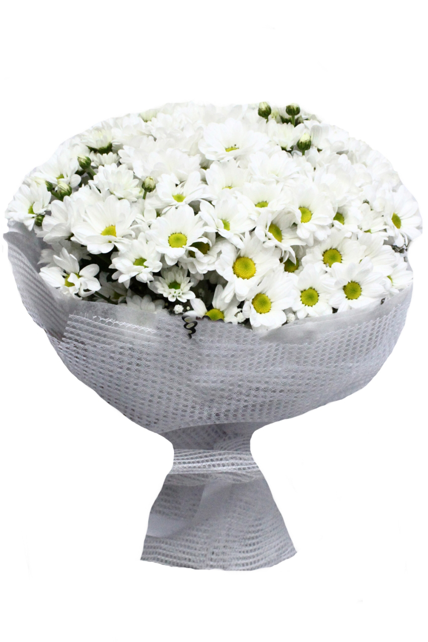 En Güzeli Papatya Kır Çiçeği C-BUK153 - Görsel 2