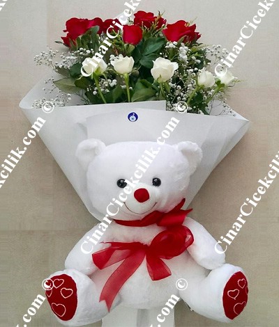 Masum Güzellik C-OY107