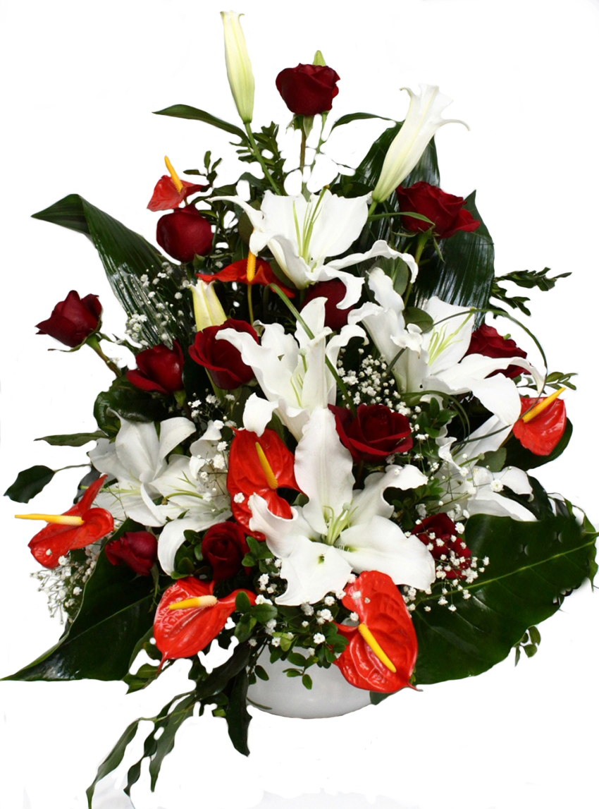 Mutluluğun Tarifi C-AR102 - Görsel 2