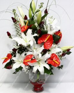 Sevgiye Özel Kırmızı Beyaz C-AR110