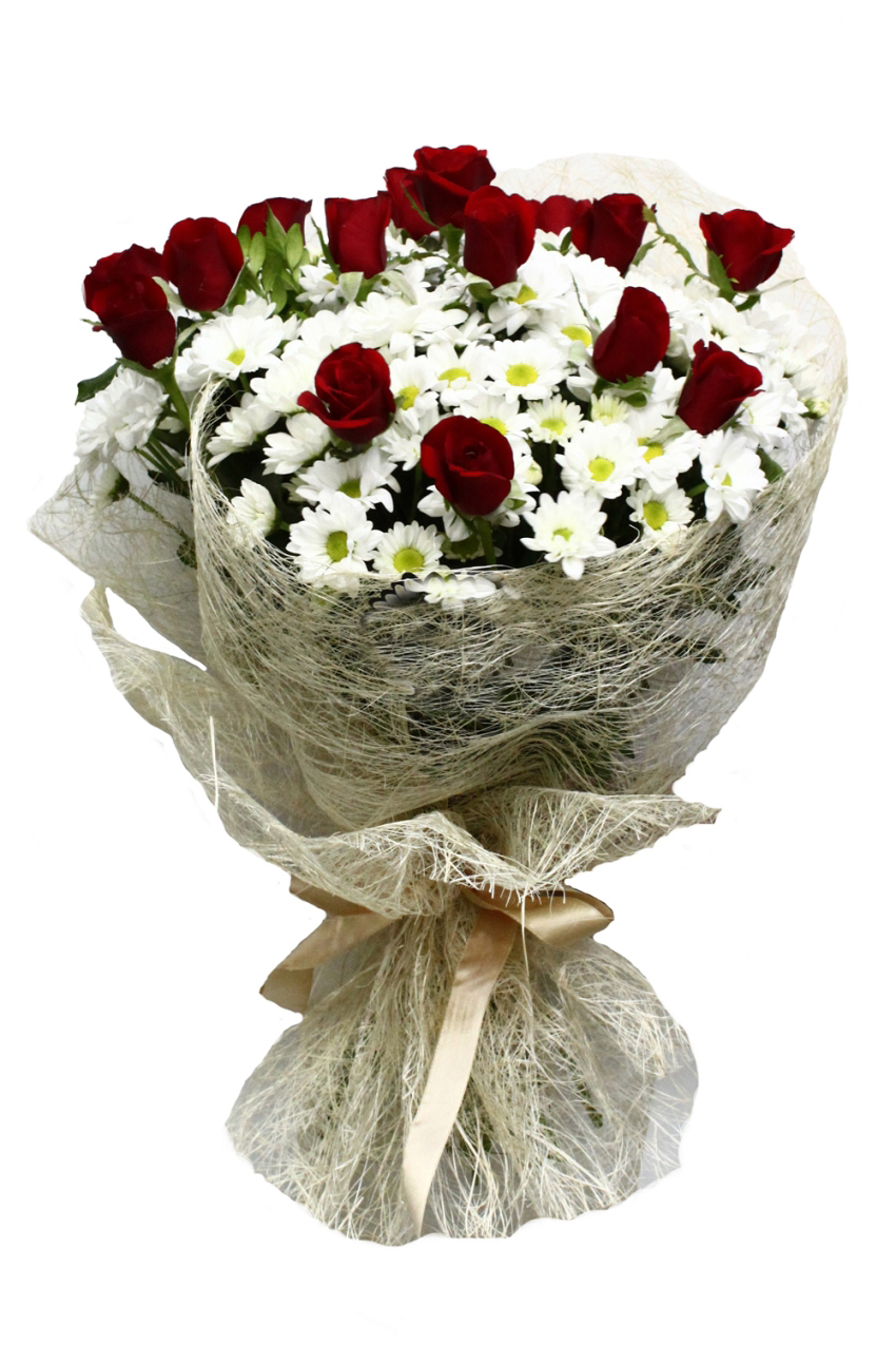 Aşkın Büyüsü Kırmızı Gül, Papatya C-BUK120 - Görsel 2