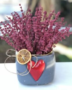 Kalbimin Tek Sahibi Kokulu Kuru Lavanta