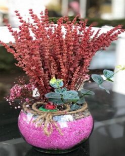 Kalıcı Aşk Kokulu Lavanta Çiçeği