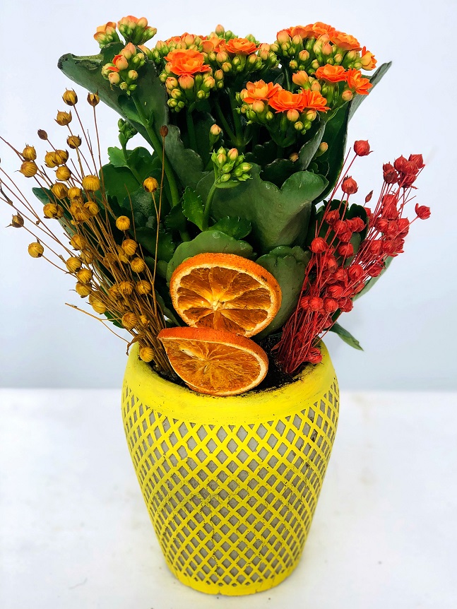 Vazoda Turuncu Kalancuha Çiçeği