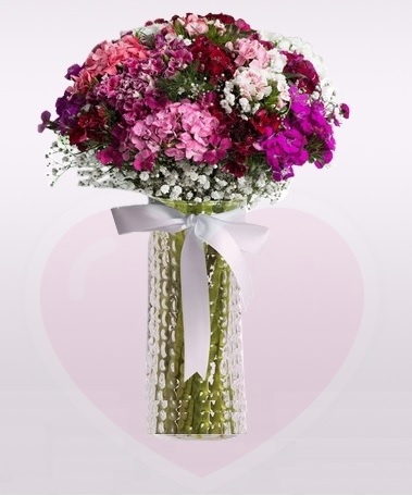 'Aynı Gün Hızlı Teslimat'' MEVSİMİN GÜZEL RENKLİ KIR ÇİÇEĞİ - Görsel 2