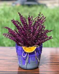 Kokulu Lavanta Çiçeği